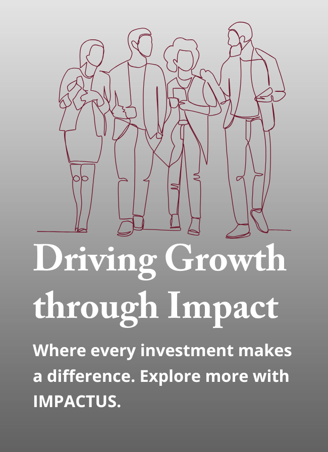 Impactus ESG — image 3